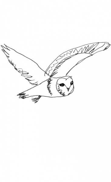 Reis mee naar de Addelaar - 1