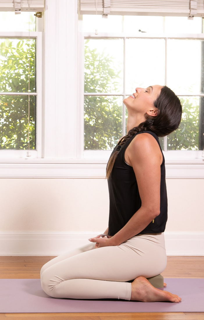 Adrienne Yoga With Adriene Mat Barre With Adriene For The Love Of Barre Alo  Moves