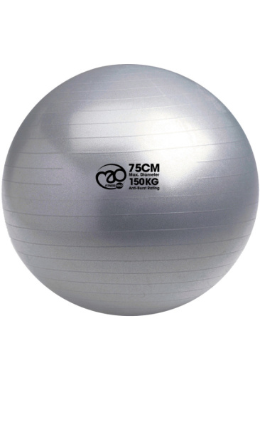 Swiss Ball & Pomp 75cm