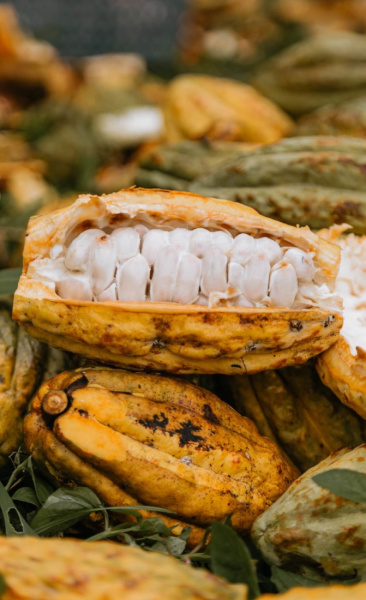 Pure Kakaw Amazu 450gr - 1