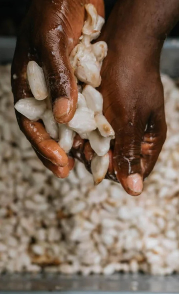 Pure Kakaw Amazu 450gr - 4