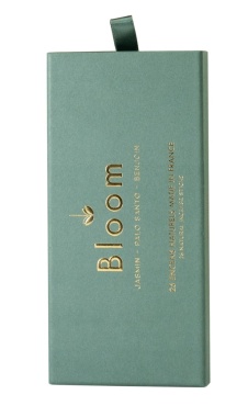 Bloom Wierook DragonFly