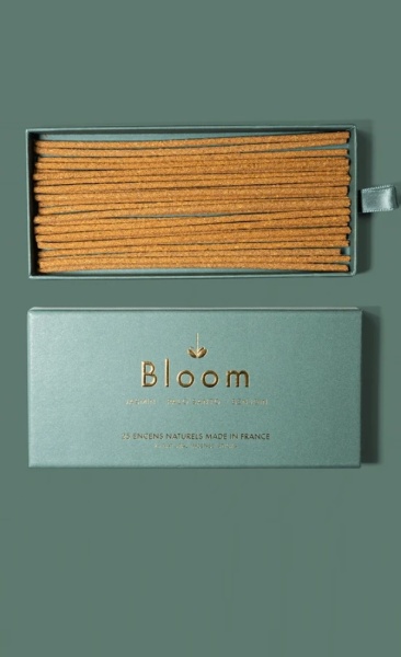 Bloom Wierook DragonFly - 1
